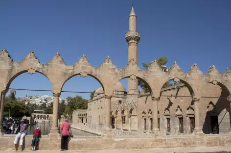 Bassins d’eau sacré à Sanli Urfa - Turquie