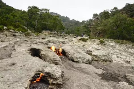 Flammes de Chimère sur les hauteurs de Çirali, Lycie - Turquie