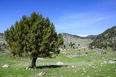 Plateau proche du col du Mont Olympe, Lycie - Turquie