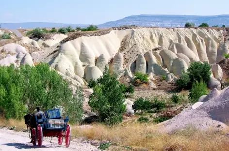 Paysage de Cappadoce - Turquie - 