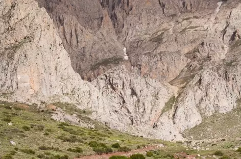 Chèvres vers le plateau d'Eznevit, massif du Taurus - Turquie