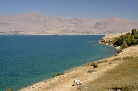 Rivages nord-est du lac de Van - Turquie