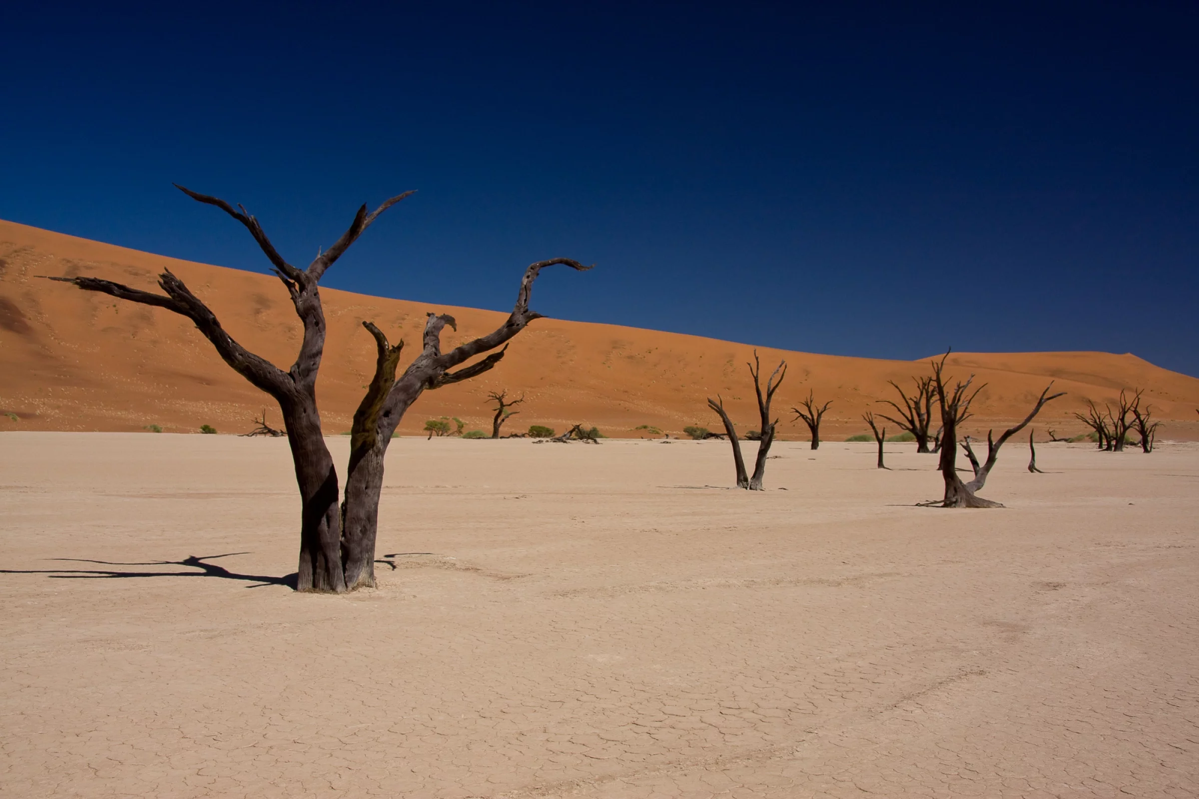 Voyages Namibie