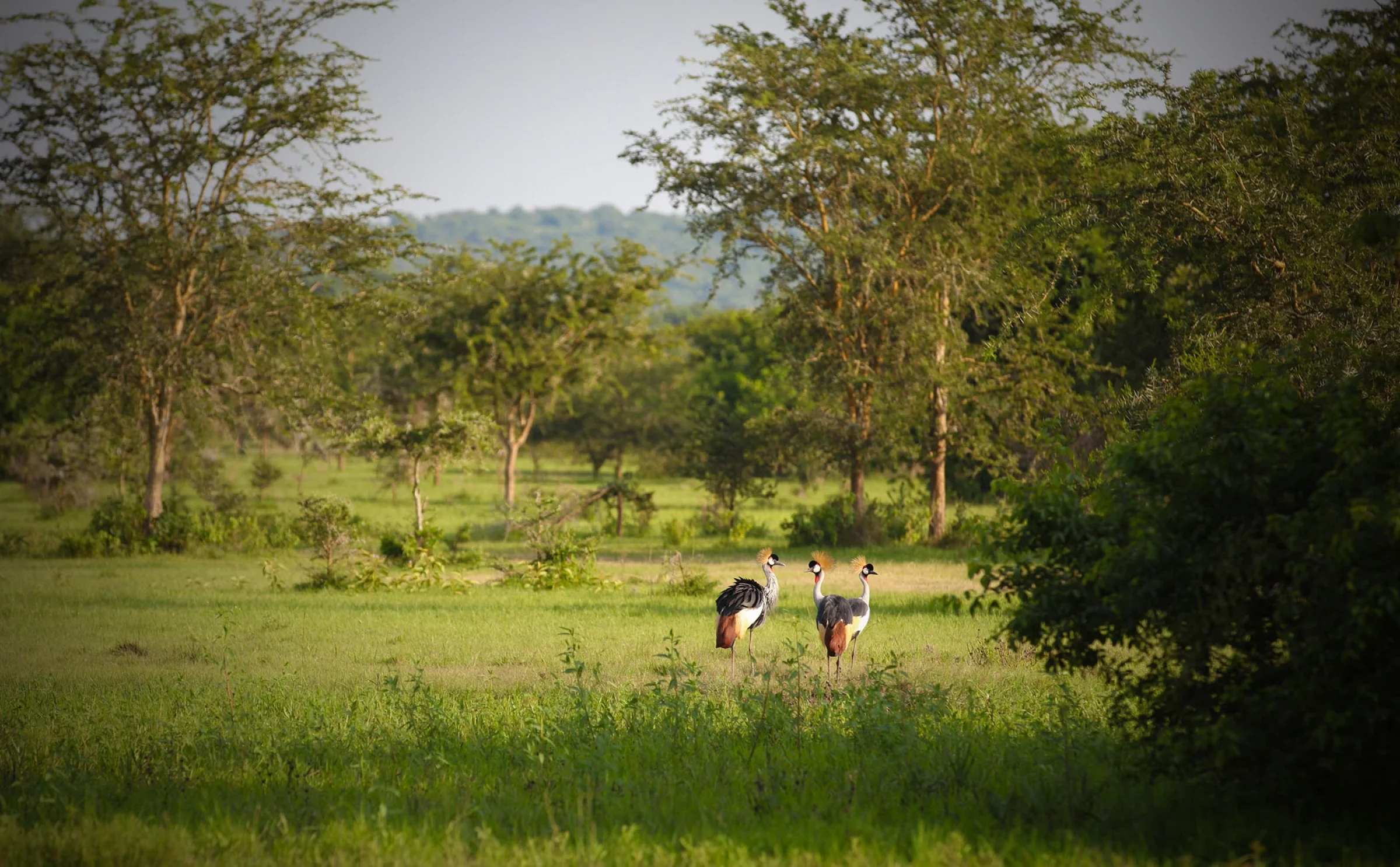 Voyages Ouganda