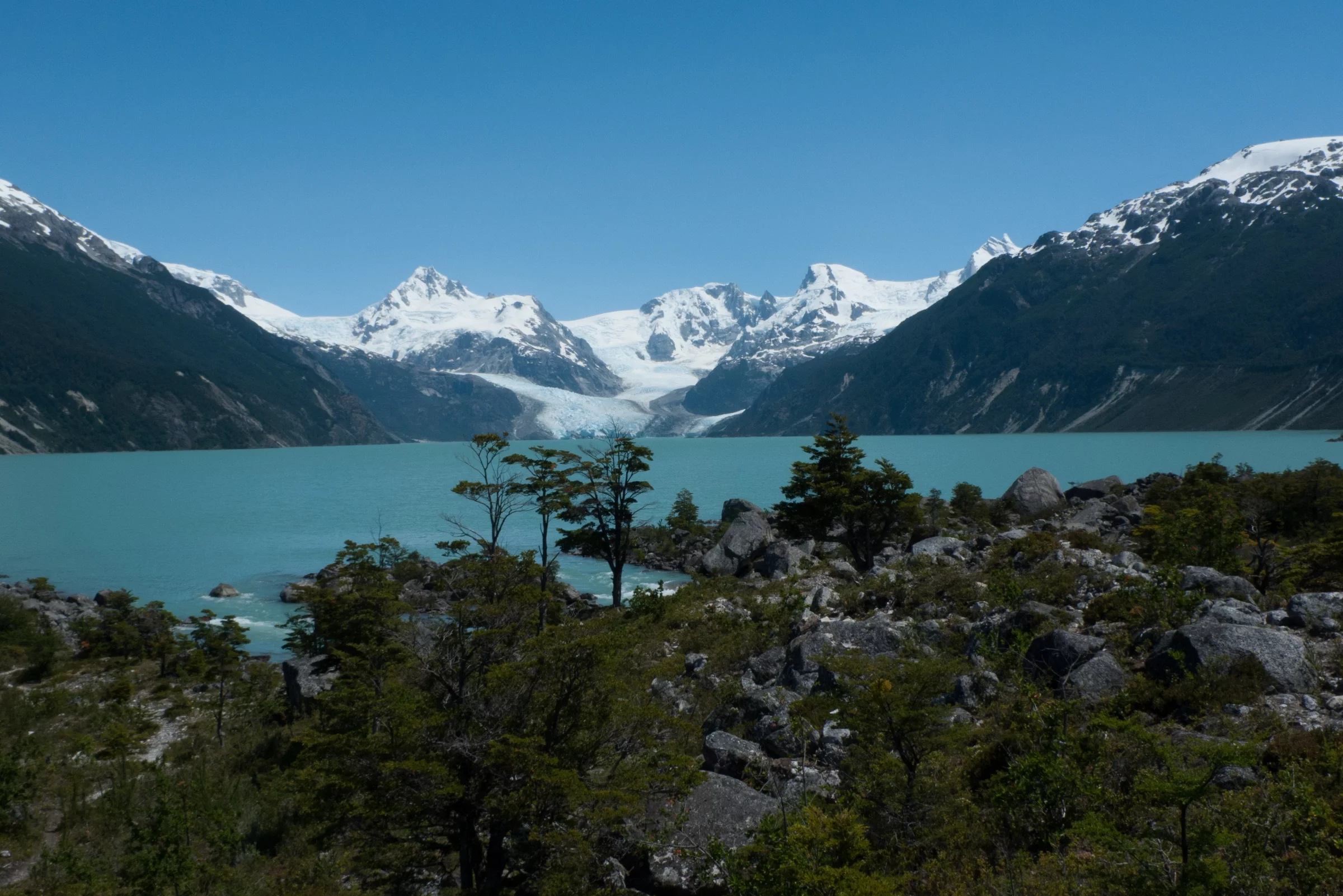Argentine