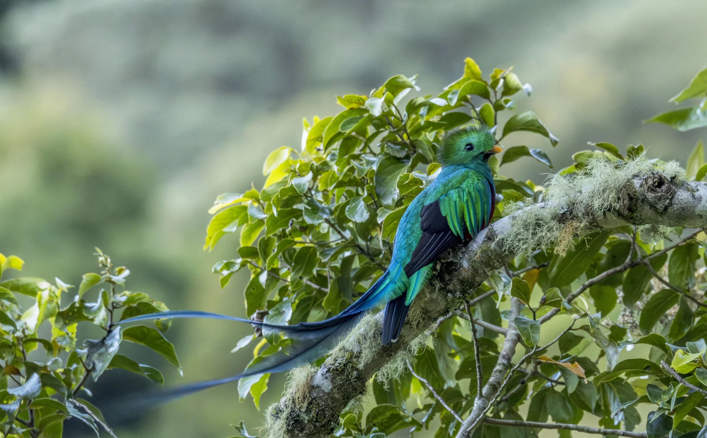 Costa Rica