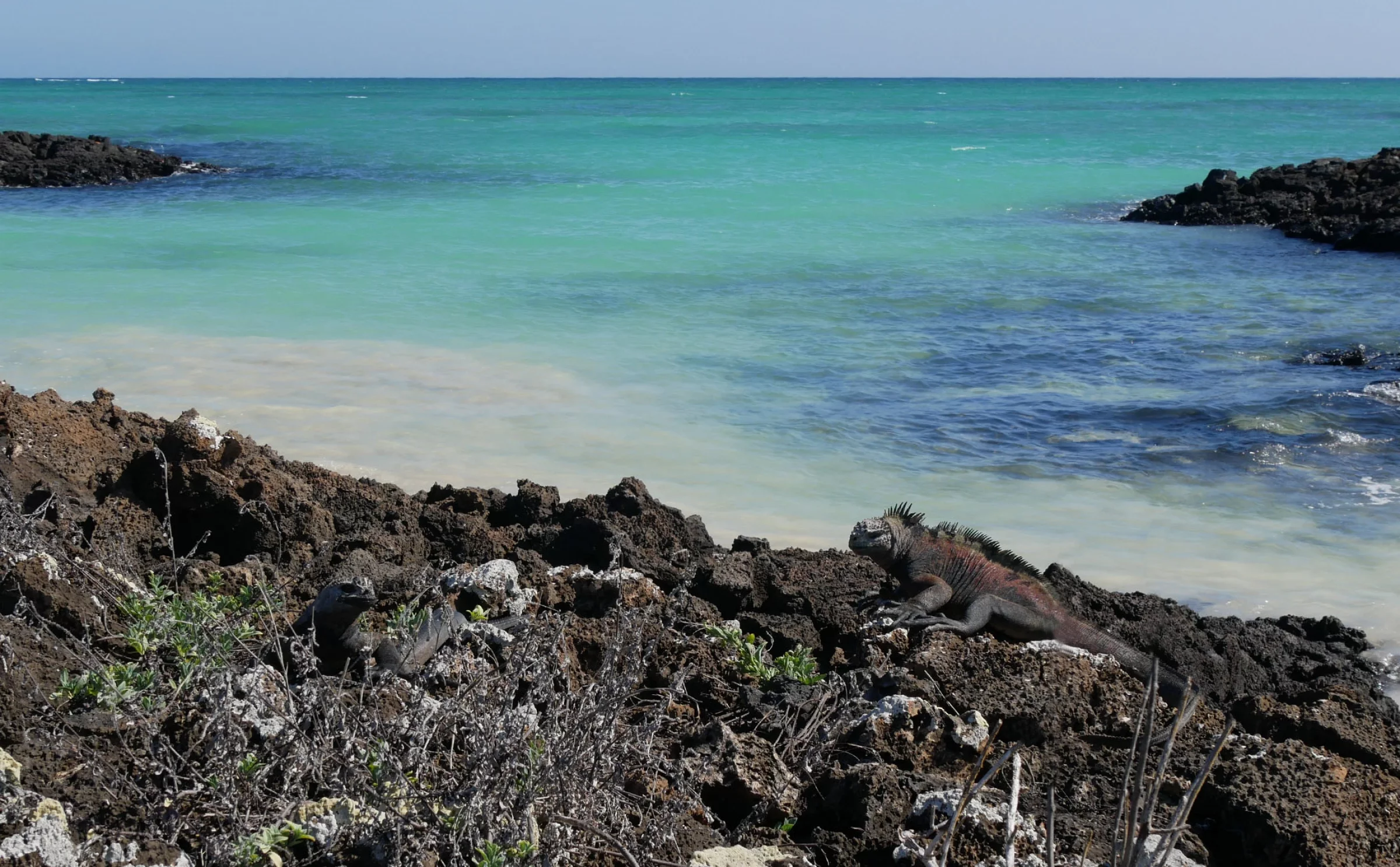 Voyages Galapagos
