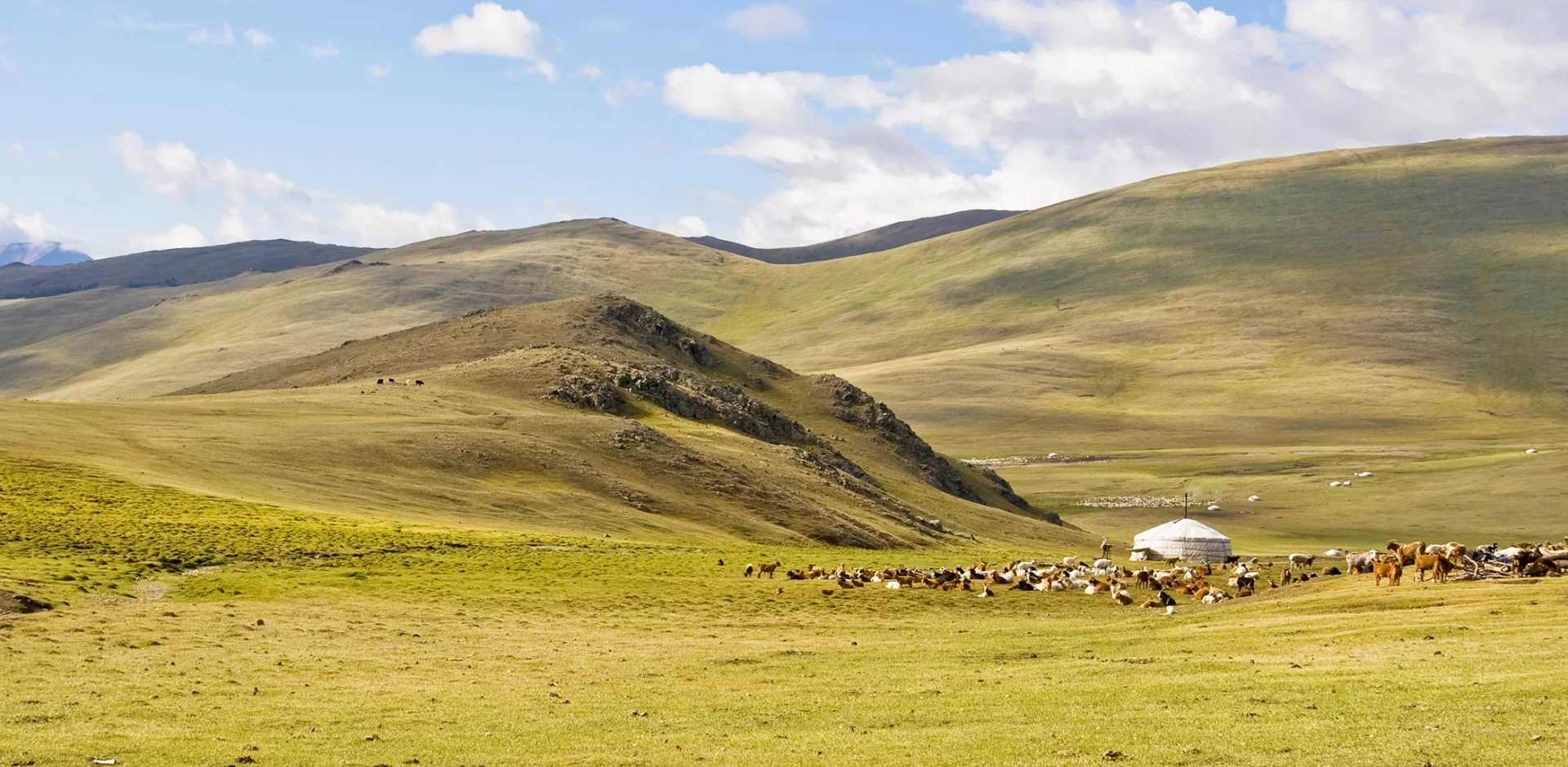 Voyages Mongolie