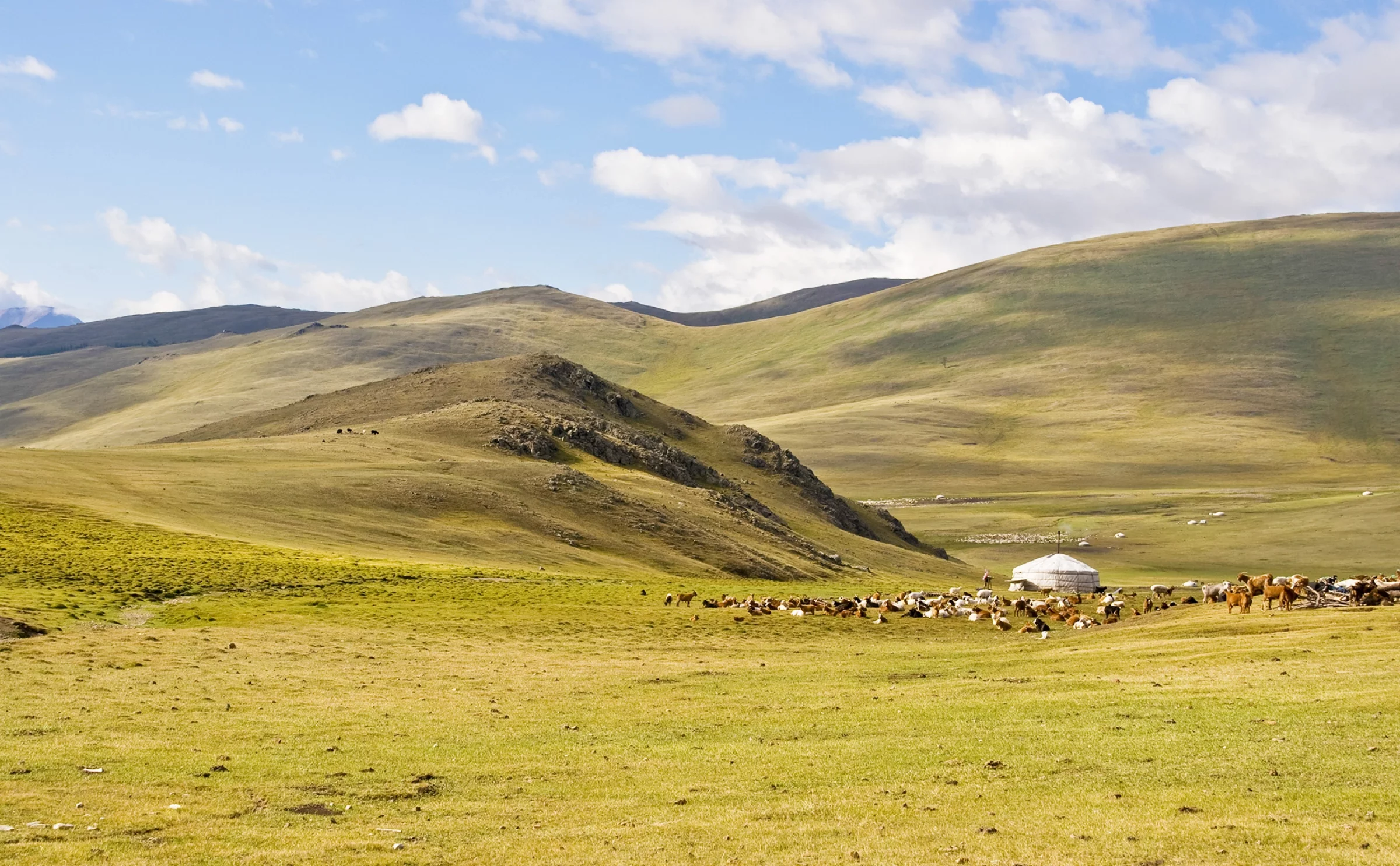 Mongolie