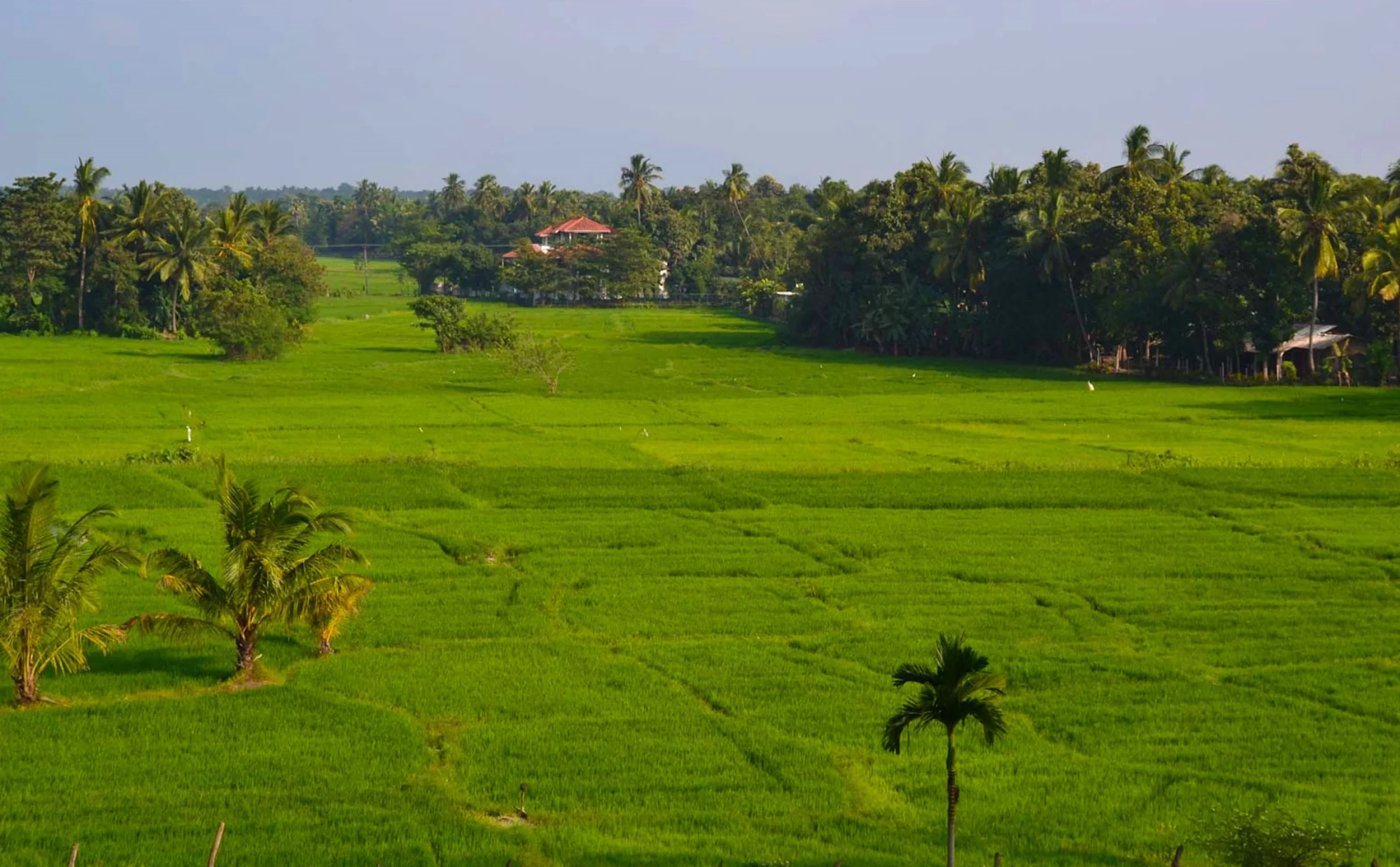 Sri Lanka