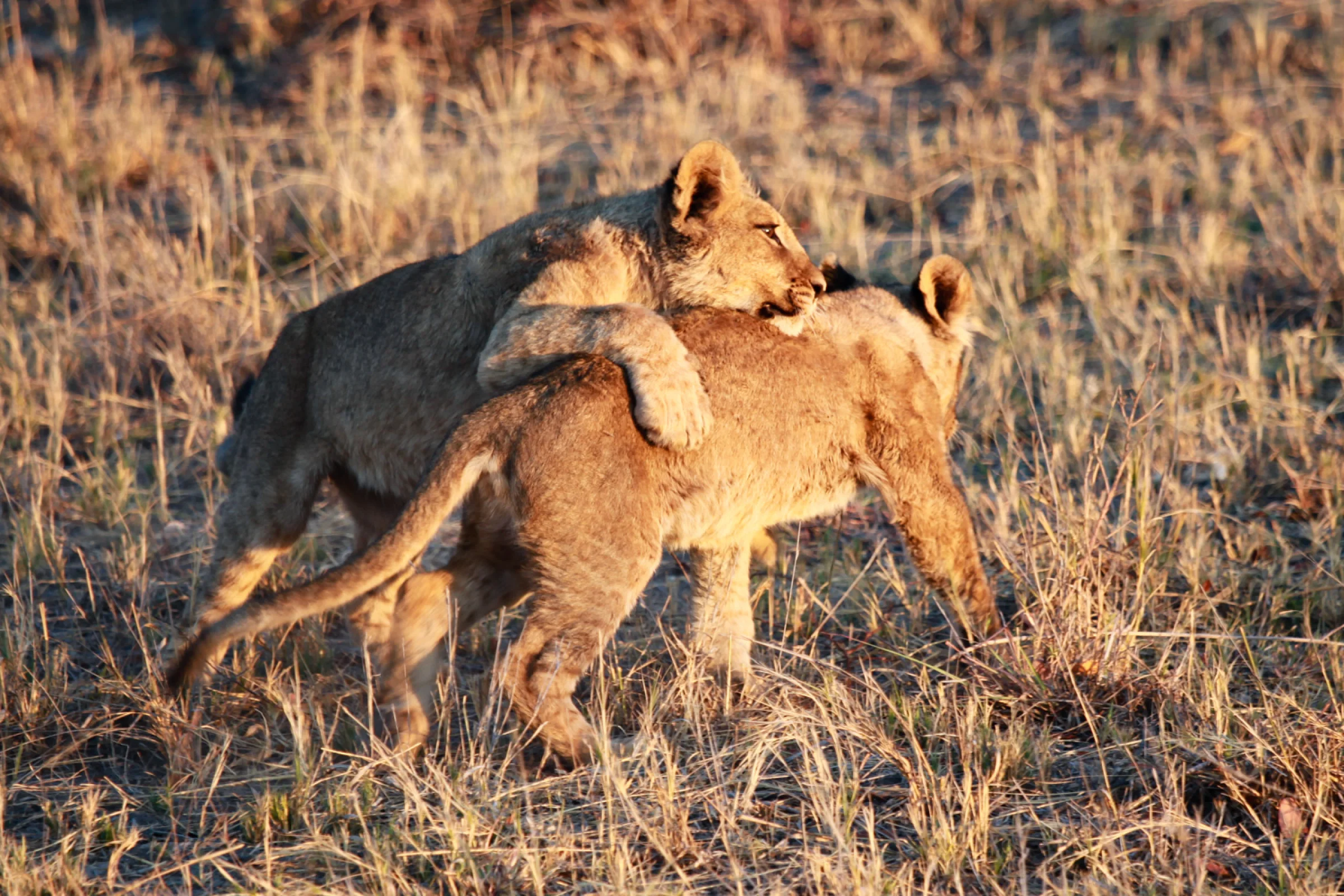 Voyages Afrique