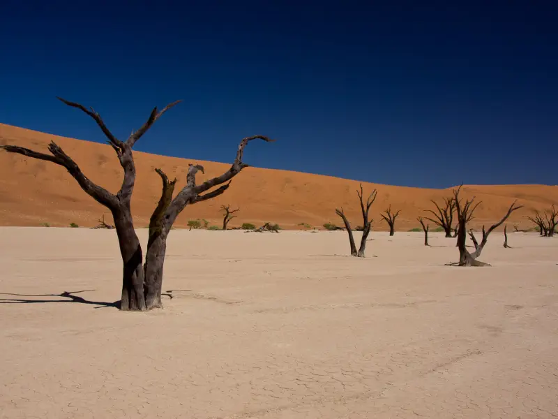 Voyages en Namibie