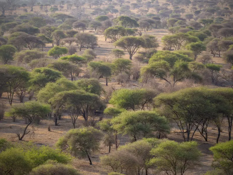 Voyages en Tanzanie
