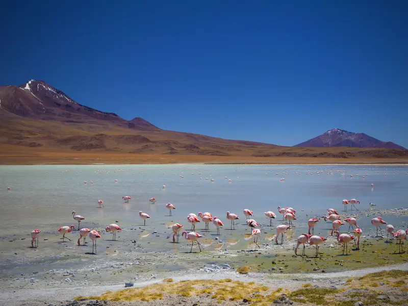 Voyages en Bolivie