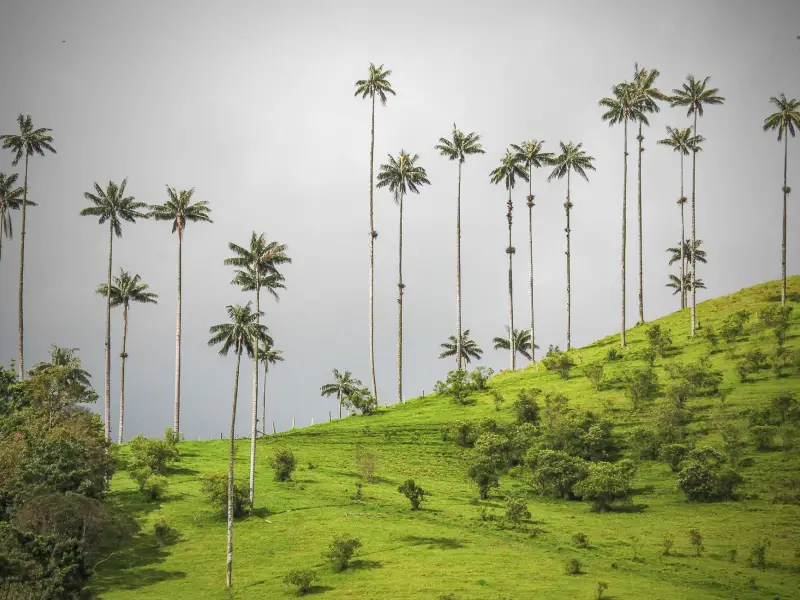 Voyages en Colombie