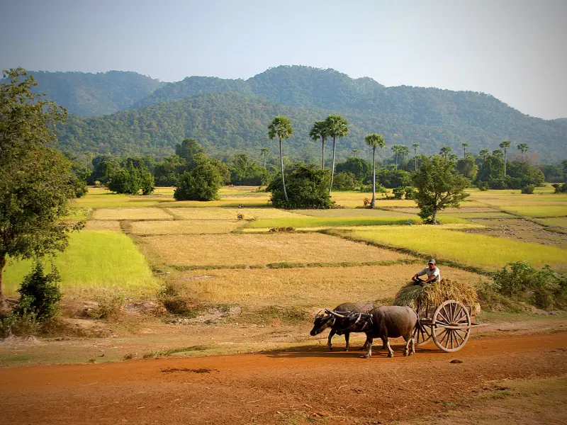 Voyages au Cambodge