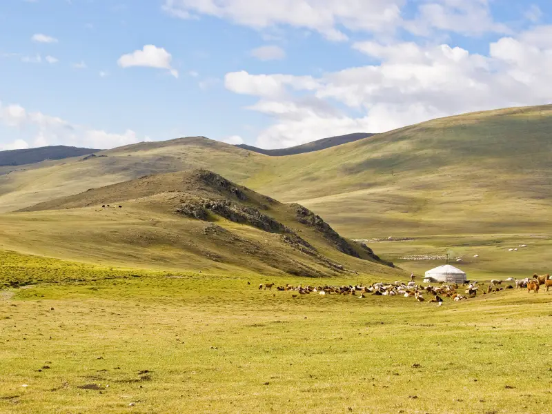Voyages en Mongolie