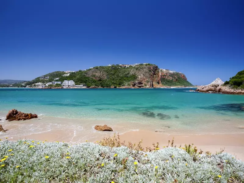 Splendide littoral dans les environs de Knysna - Afrique du Sud, 