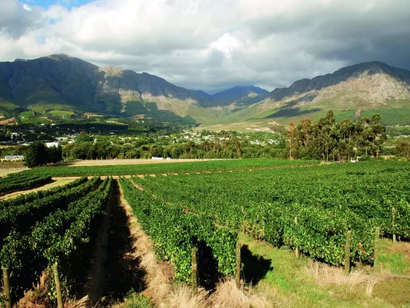 Vignobles de Franschhoek (Afrique du Sud), &copy; Julien Erster -  Tirawa 