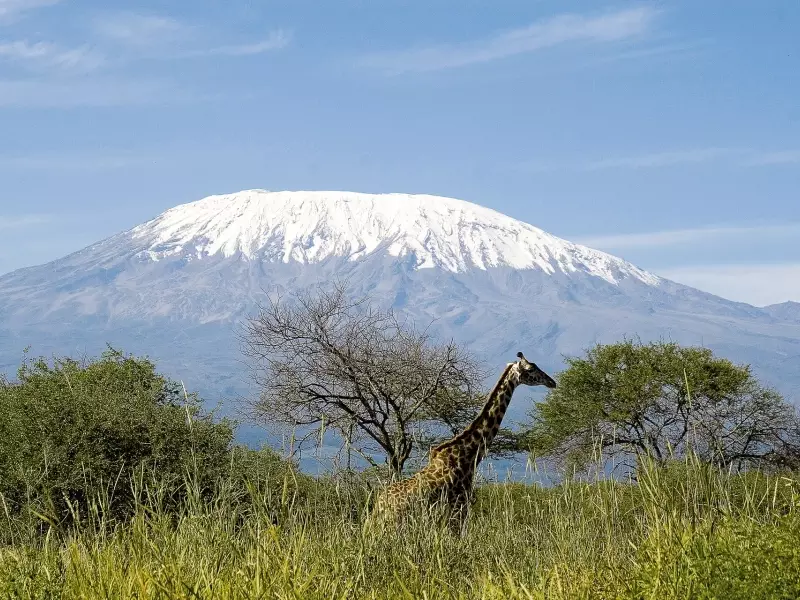 Le Kilimanjaro depuis le parc d'Amboseli - Kenya, &copy; Julien Erster - TIRAWA 