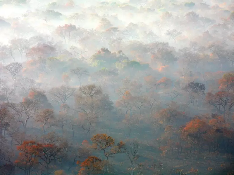 Magie matinale au Parc National Gorongosa - Mozambique, &copy; Mozsensations 