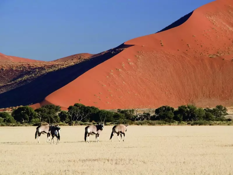 Dunes de Sossusvlei - Namibie, &copy; Christian Juni - TIRAWA 