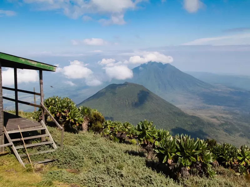Ascension du volcan Muhavura (4127 m), chaîne des Virunga  - Ouganda, &copy; Julien Erster - TIRAWA 