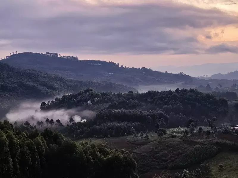 Parc national de Nyungwe - Rwanda, &copy; Julien Erster - TIRAWA 