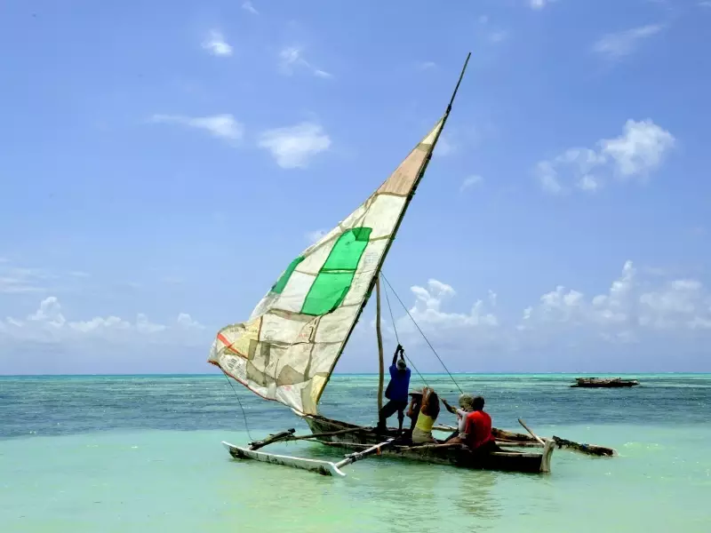Côte est de Zanzibar - Tanzanie, 
