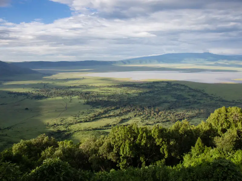 Caldeira du Ngorongoro - Tanzanie, &copy; Maï Ta Minh - TIRAWA 