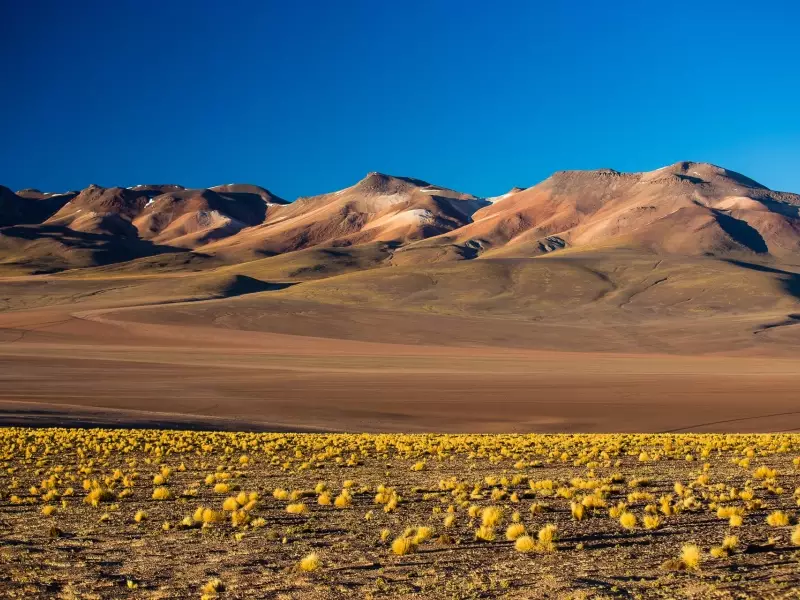 Paysage du Sud Lipez - Bolivie, &copy; Christian Leroy - TIRAWA 