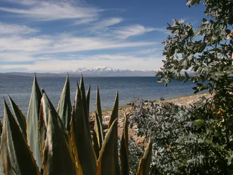 Cordillère Royale depuis les berges du Titicaca - Bolivie, &copy; Christian Leroy 