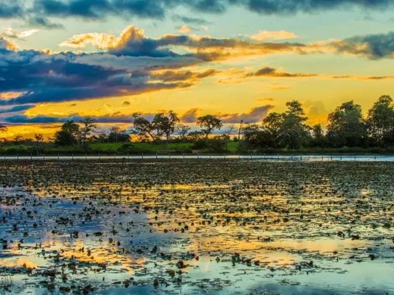 Coucher de soleil sur le Pantanal - Brésil, &copy; shutterstock-141977947 