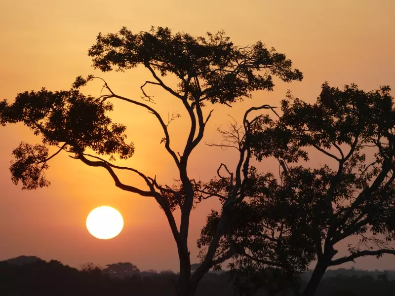 Superbe lever de soleil dans les Llanos - Colombie, &copy; Julien Freidel - Tirawa 