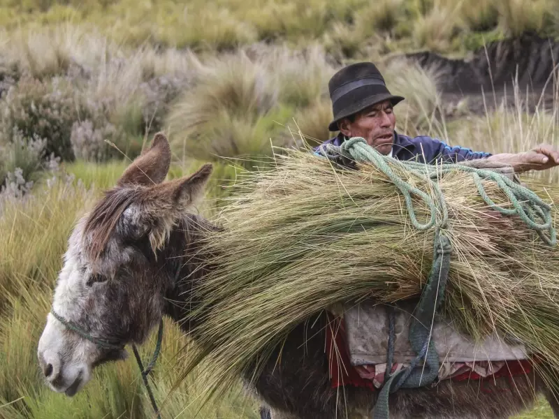 Rencontre avec Baltazar Ushca, le dernier chercheur de glace du Chimborazo - Equateur, &copy; Julien Freidel - TIRAWA 