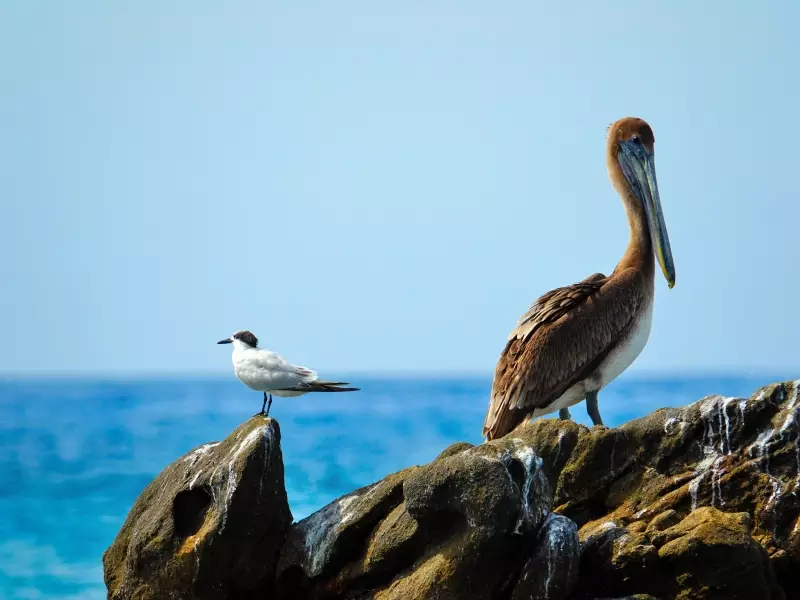 Puerto Escondido_Mexique, &copy; Franck38_Istock 