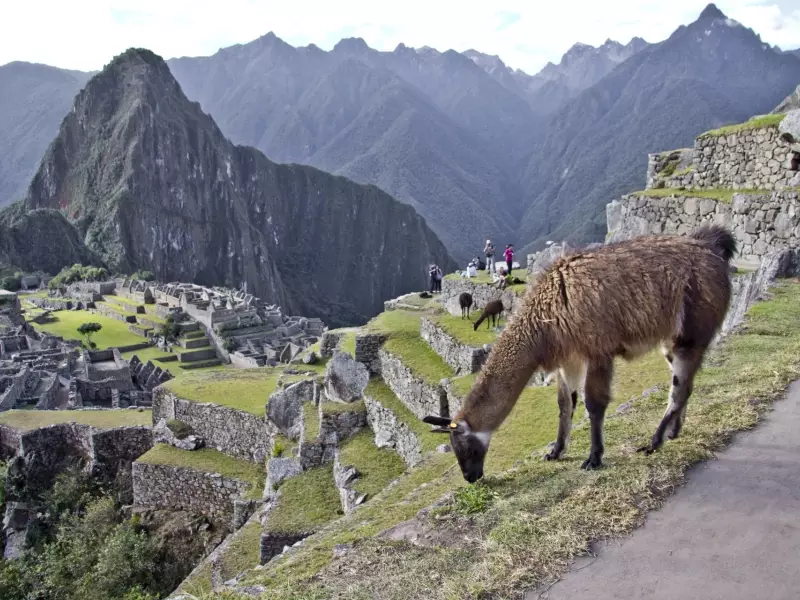 Le Machu Picchu - Pérou, &copy; Robert Dompnier - TIRAWA 