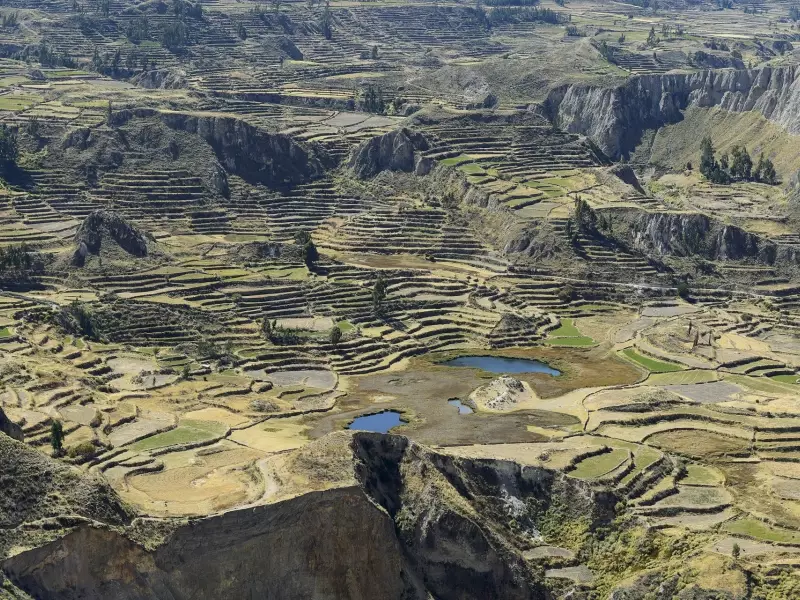 Les champs en terrasses dans le canyon de Colca - Pérou, &copy; Robert Dompnier - TIRAWA 
