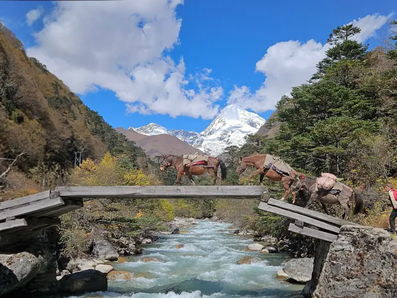 Rivière Paro Chhu et Jomolhari - Bhoutan, &copy; Julien Erster - TIRAWA 