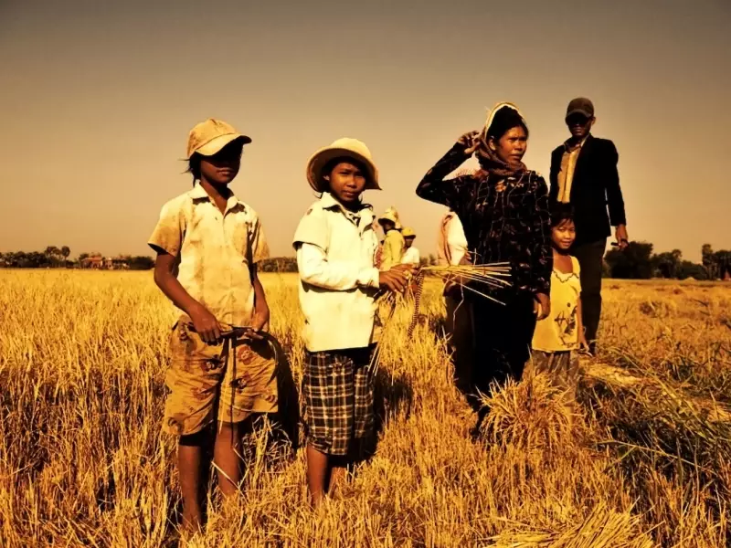 Campagne khmère - Cambodge, &copy; Tirawa 