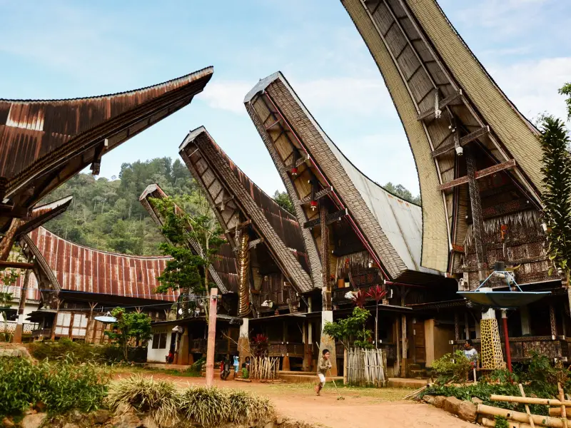 Extension Découverte du Pays Toraja (Sulawesi) : voyage Bali Autrement (Indonésie) - TIRAWA