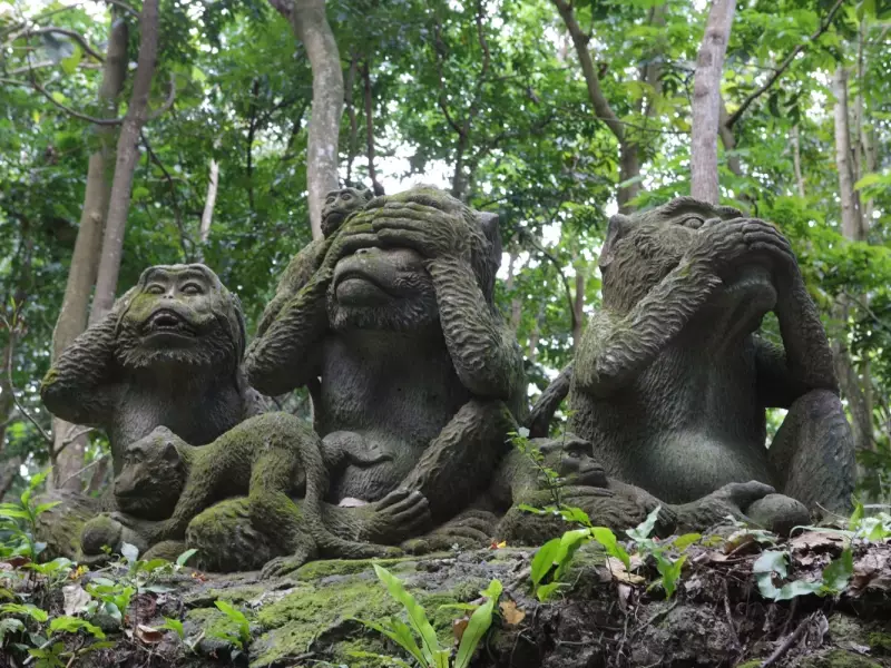 Monkey Forest à Ubud, Bali - Indonésie, &copy; Julien Erster - TIRAWA 