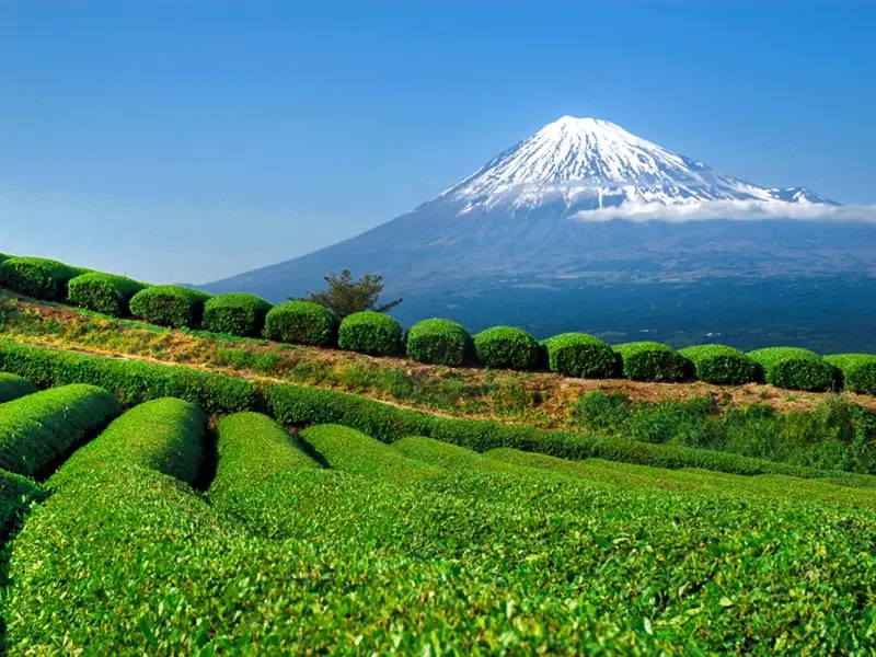 Belle vue sur le Fuji (3776 m), sommet du Japon, &copy; Luciano Lepre 