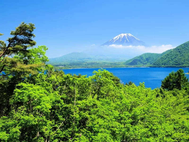Le Mont Fuji et Lac Motosu, &copy; Goryu_Istock 