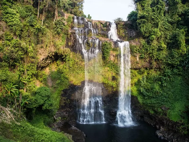 Plateau des Boloven - Laos, &copy; Christian Leroy - TIRAWA 