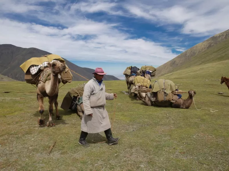 Chamelier - Mongolie, &copy; Christian Juni - Tirawa 