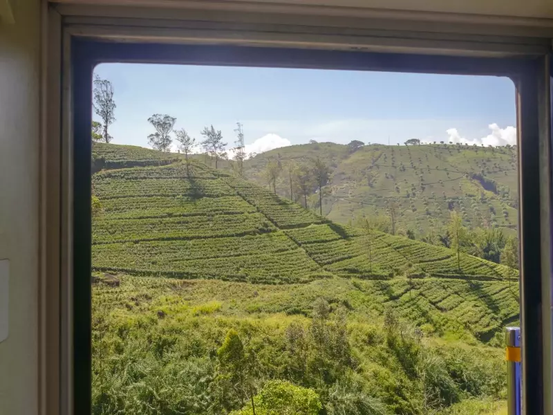 Collines et champs de thé depuis le train, &copy; Gautier Renault - Tirawa 