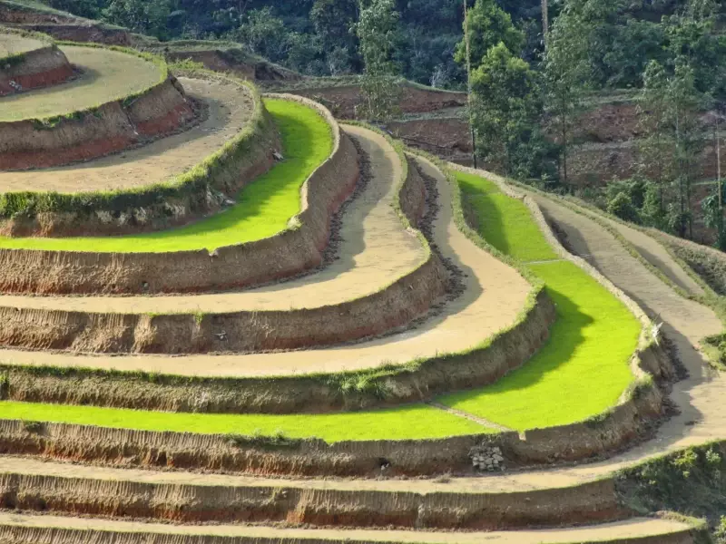 Beauté des courbes dans le Haut Tonkin, &copy; Julien Freidel - Tirawa 