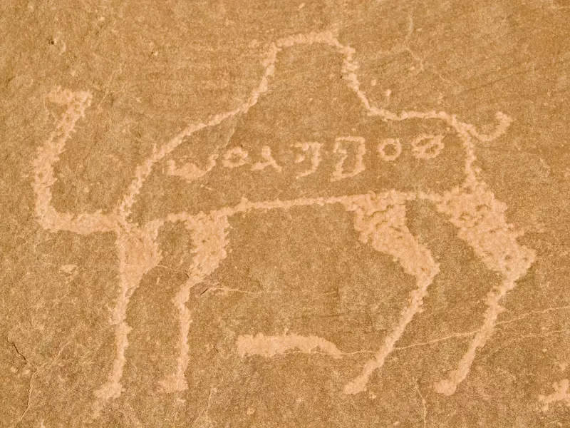 Gravures rupestres dans le désert du Wadi Rum - Jordanie, &copy; Julien Erster -TIRAWA 