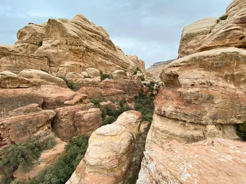 Réserva Naturelle de Dana - Jordanie, &copy; Julien Erster 